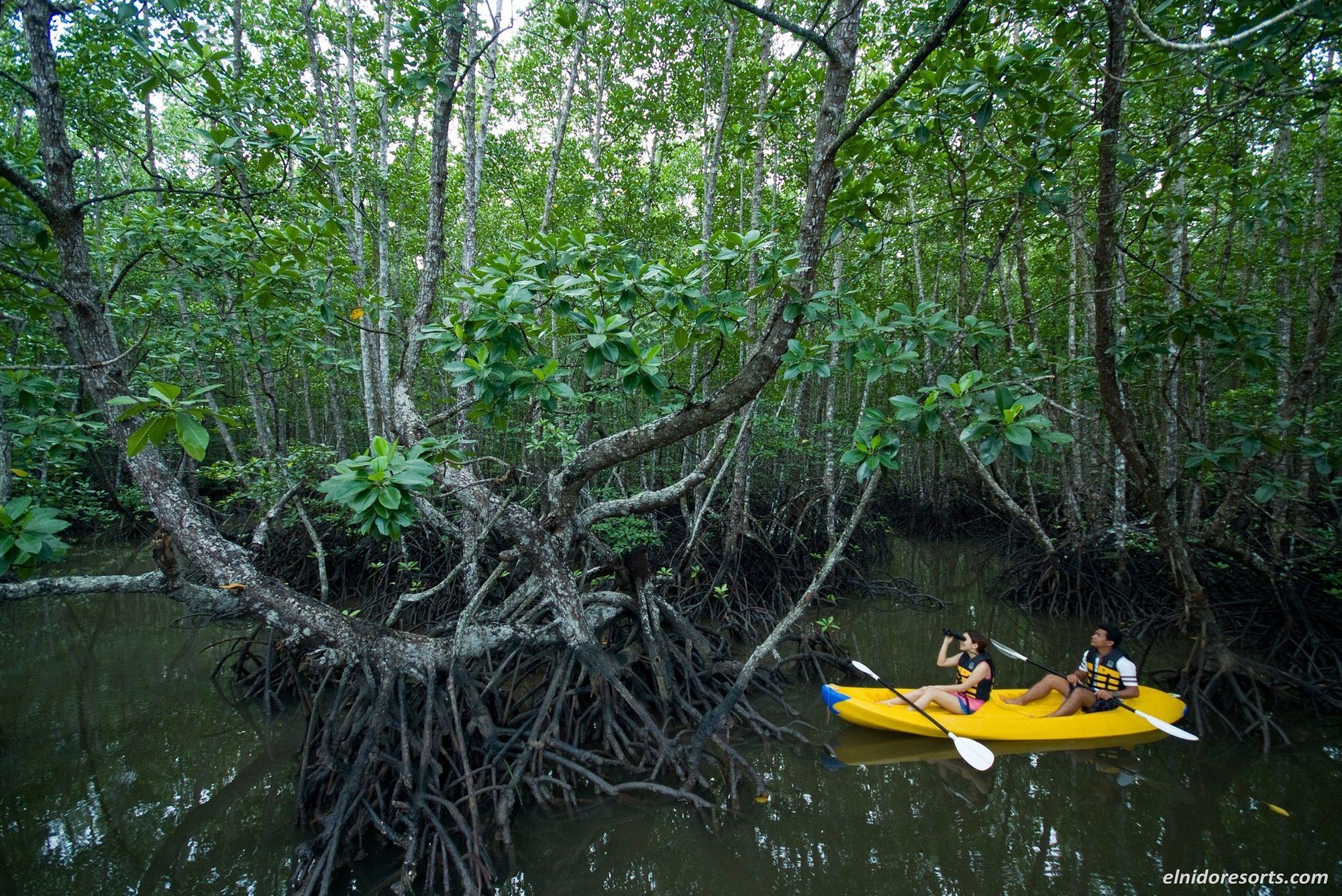 El Nido Resorts Pangulasian Island Ανέσεις φωτογραφία